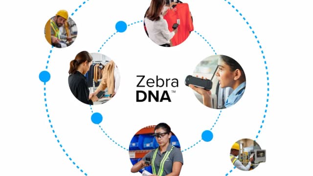 Zebra Zebra DNA